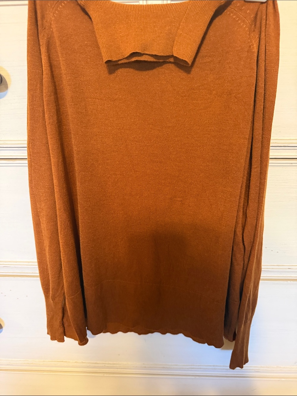 Zara Women’s  Turtleneck Sweater in Rust Orange (perfect for fall)